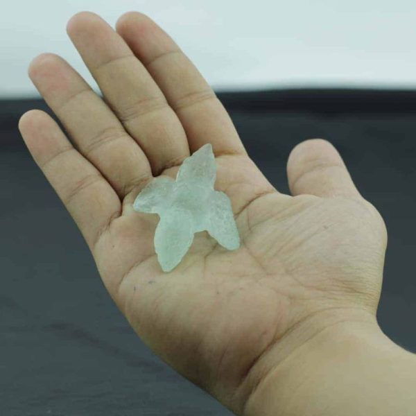 Fossilized Siluman Bird - Type A1 - Image 2