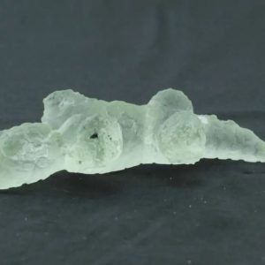 Fossilized Siluman Bird - Type A2
