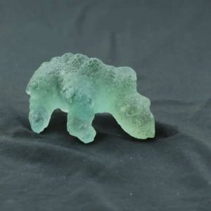Fossilized Siluman Bird - Type A4
