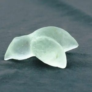 Fossilized Siluman Bird - Type A6