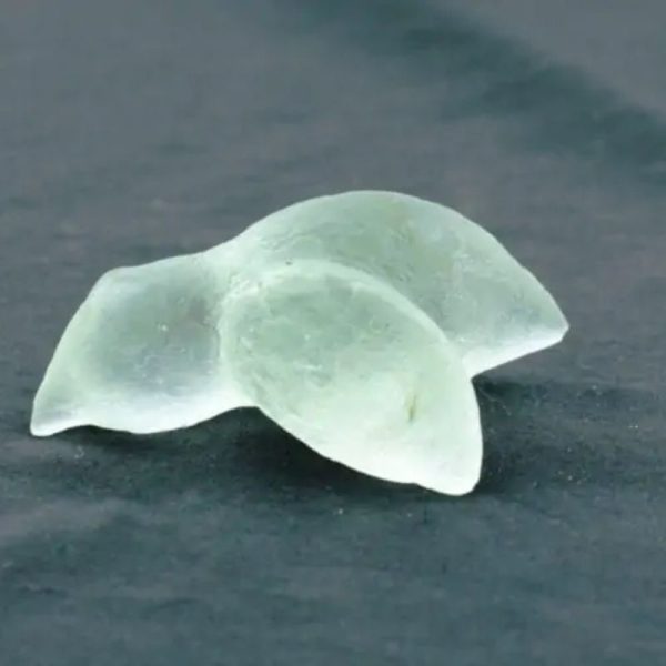 Fossilized Siluman Bird - Type A6