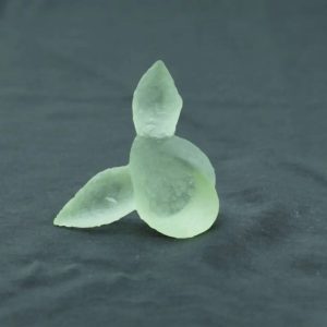 Fossilized Siluman Bird - Type A8