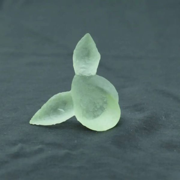 Fossilized Siluman Bird - Type A8