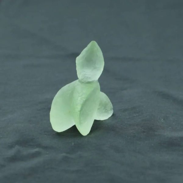 Fossilized Siluman Bird - Type A8 - Image 3