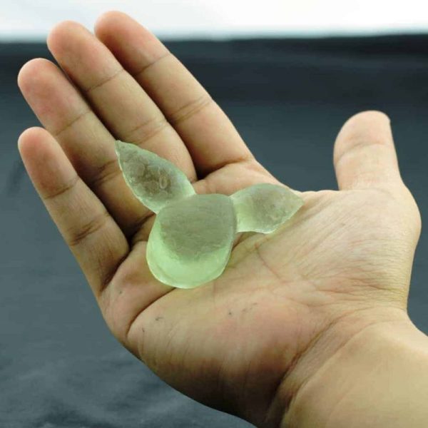 Fossilized Siluman Bird - Type A8 - Image 2