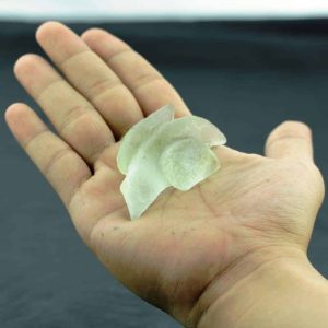Fossilized Siluman Bird - Type A12