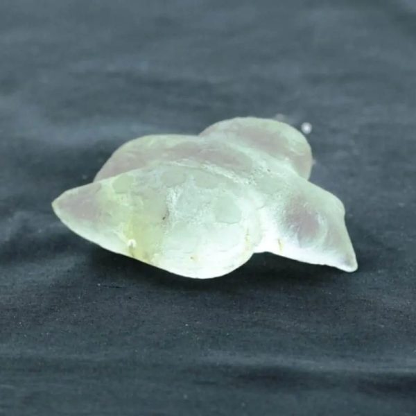 Fossilized Siluman Bird - Type A12 - Image 2