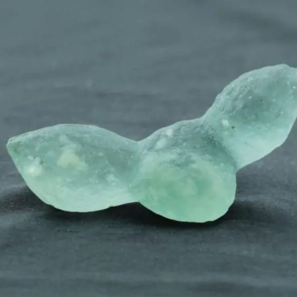 Fossilized Siluman Bird - Type A15 - Image 2
