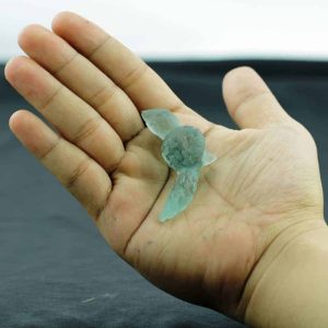 Fossilized Siluman Bird - Type A19