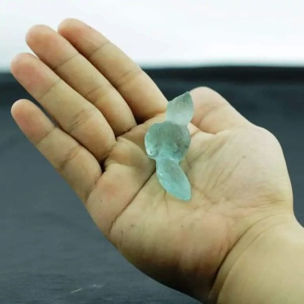 Fossilized Siluman Bird - Type A19 - Image 3