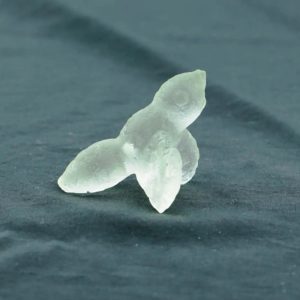 Fossilized Siluman Bird - Type A21