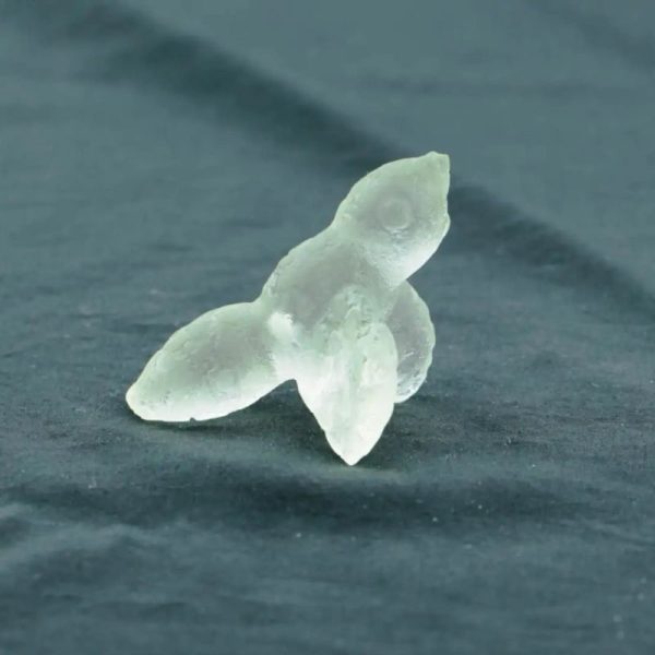 Fossilized Siluman Bird - Type A21