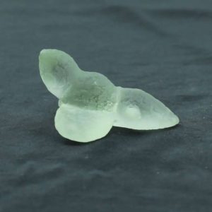 Fossilized Siluman Bird - Type A22