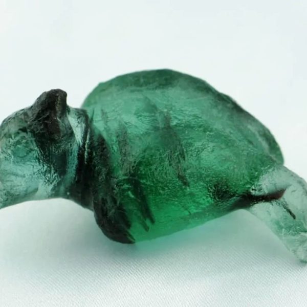 Fossilized Mincao Bird - Type A1 - Image 3