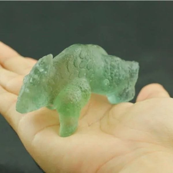 Fossilized Horned Nyambik - Type C3