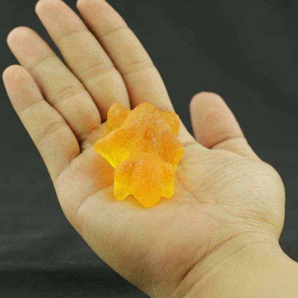 Fossilized Baby Nyambik Kencana - Type C4 - Image 2