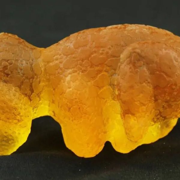 Fossilized Baby Nyambik Kencana - Type C3