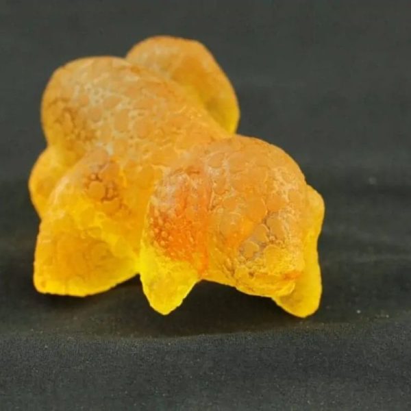 Fossilized Baby Nyambik Kencana - Type C3 - Image 4