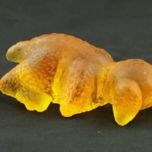 Fossilized Baby Nyambik Kencana - Type C1