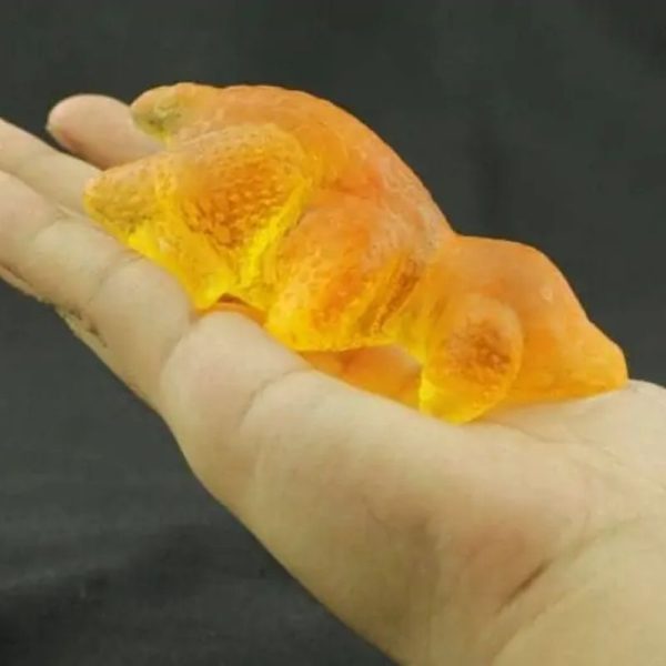 Fossilized Baby Nyambik Kencana - Type C1 - Image 3