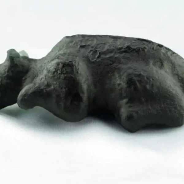 Fossilized Black Nyambik Buntung - Type D3