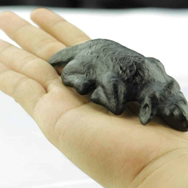 Fossilized Black Nyambik Buntung - Type D3 - Image 2