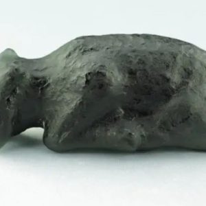 Fossilized Black Nyambik Buntung - Type D2