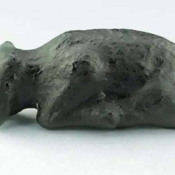 Fossilized Black Nyambik Buntung - Type D2