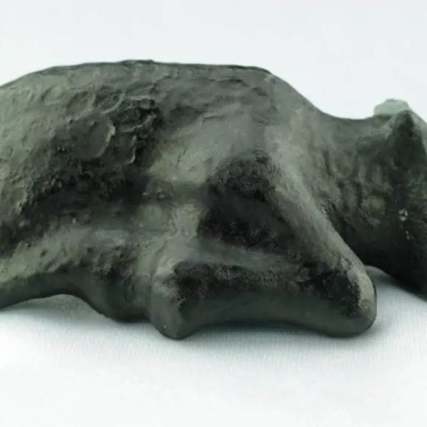 Fossilized Black Nyambik Buntung - Type D2 - Image 5
