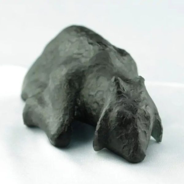 Fossilized Black Nyambik Buntung - Type D2 - Image 4