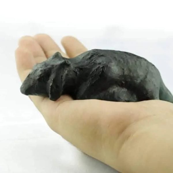 Fossilized Black Nyambik Buntung - Type D2 - Image 3