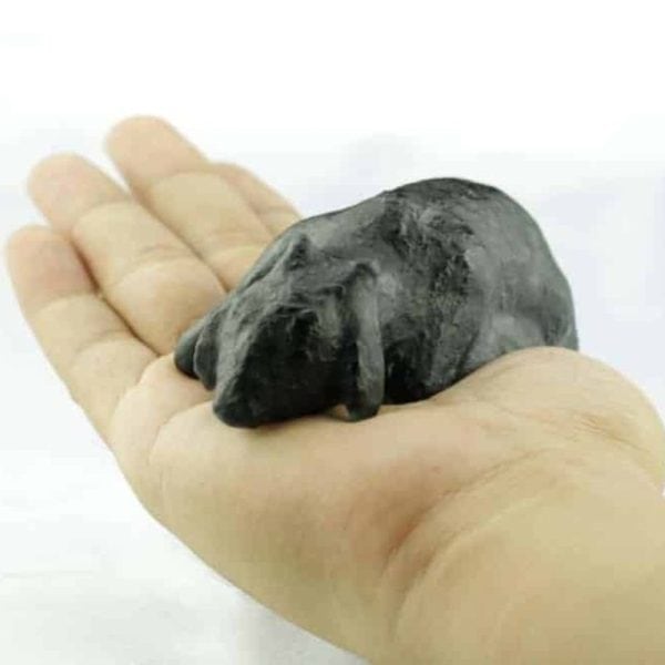 Fossilized Black Nyambik Buntung - Type D2 - Image 2