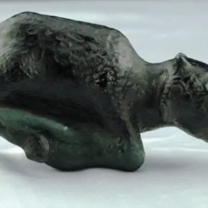 Fossilized Black Nyambik Buntung - Type D1