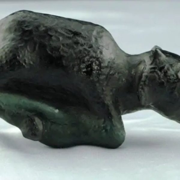 Fossilized Black Nyambik Buntung - Type D1