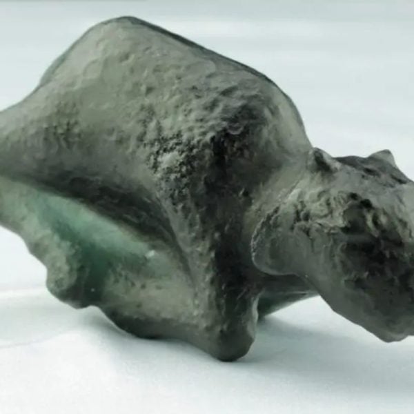 Fossilized Black Nyambik Buntung - Type D1 - Image 3