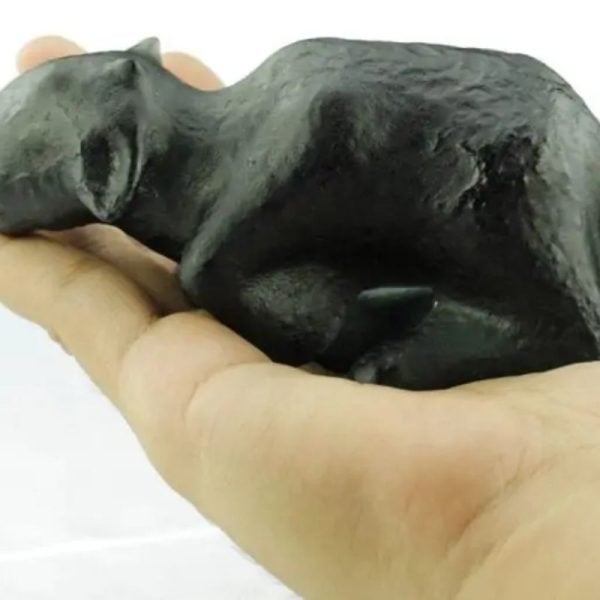 Fossilized Black Nyambik Buntung - Type D1 - Image 2