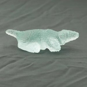 Fossilized Nyambik Siluman - Type A1