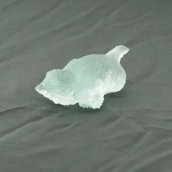 Fossilized Nyambik Siluman - Type A1 - Image 4