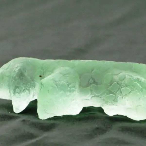 Fossilized Baby Nyambik Siluman - Type B1