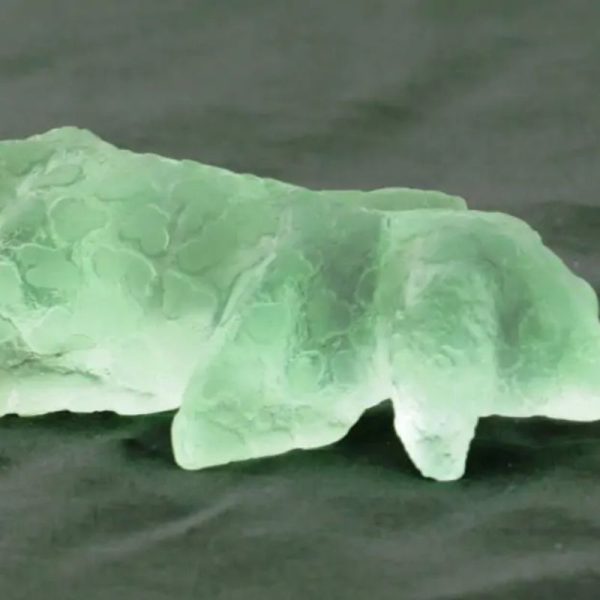 Fossilized Baby Nyambik Siluman - Type B1 - Image 4