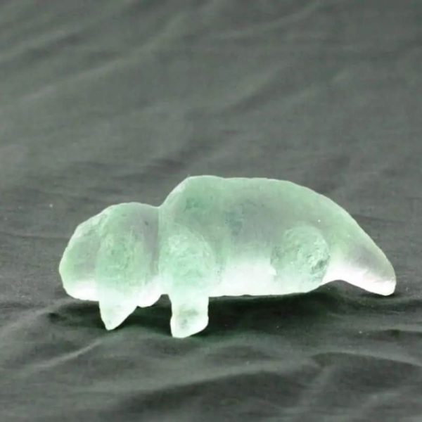 Fossilized Baby Nyambik Siluman - Type B2 - Image 3