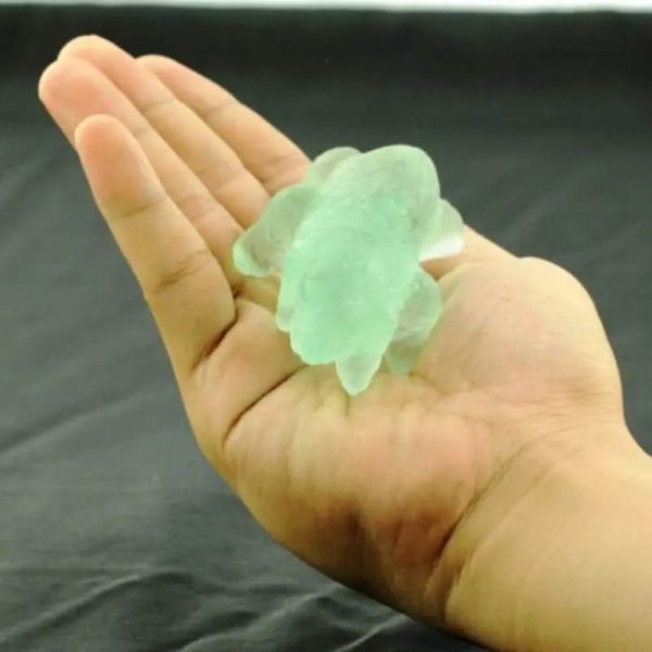 Fossilized Baby Nyambik Siluman - Type B2 - Image 2