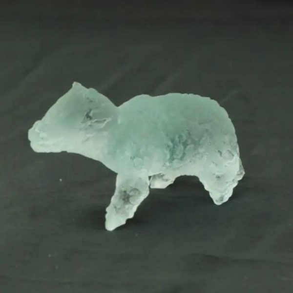 Fossilized Baby Nyambik Siluman - Type B6