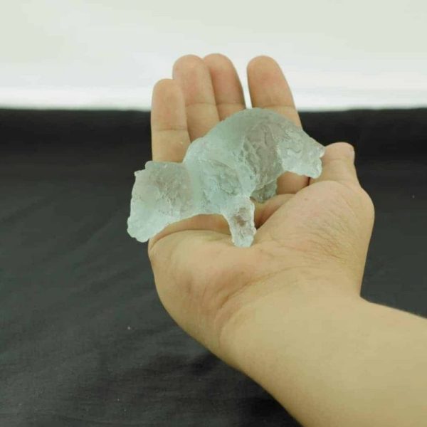 Fossilized Baby Nyambik Siluman - Type B6