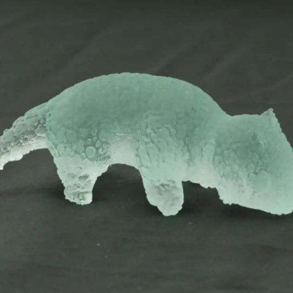 Fossilized Baby Nyambik Siluman - Type B7