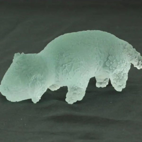 Fossilized Baby Nyambik Siluman - Type B7 - Image 4