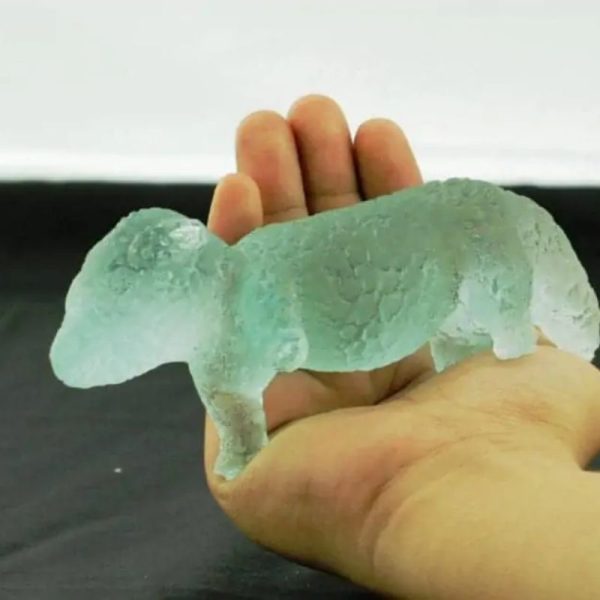 Fossilized Baby Nyambik Siluman - Type B8 - Image 3