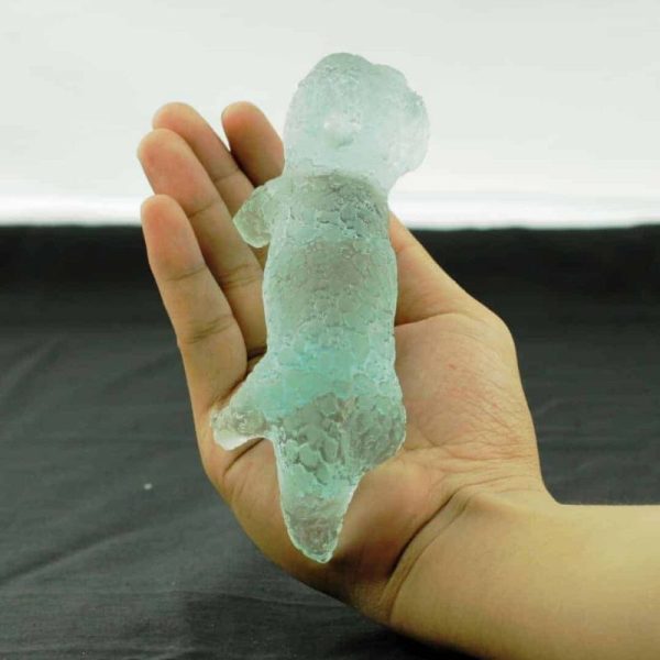 Fossilized Baby Nyambik Siluman - Type B8 - Image 2