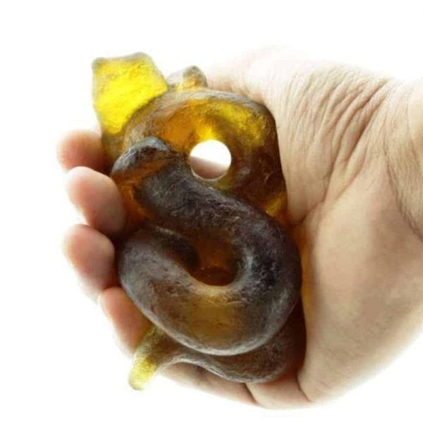Fossilized Nini Blorong - Type A1