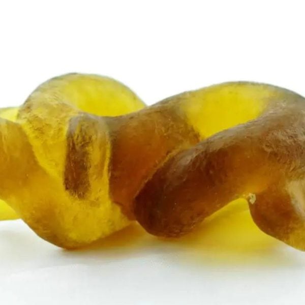 Fossilized Nini Blorong - Type A1 - Image 6